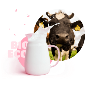 cow with some milk